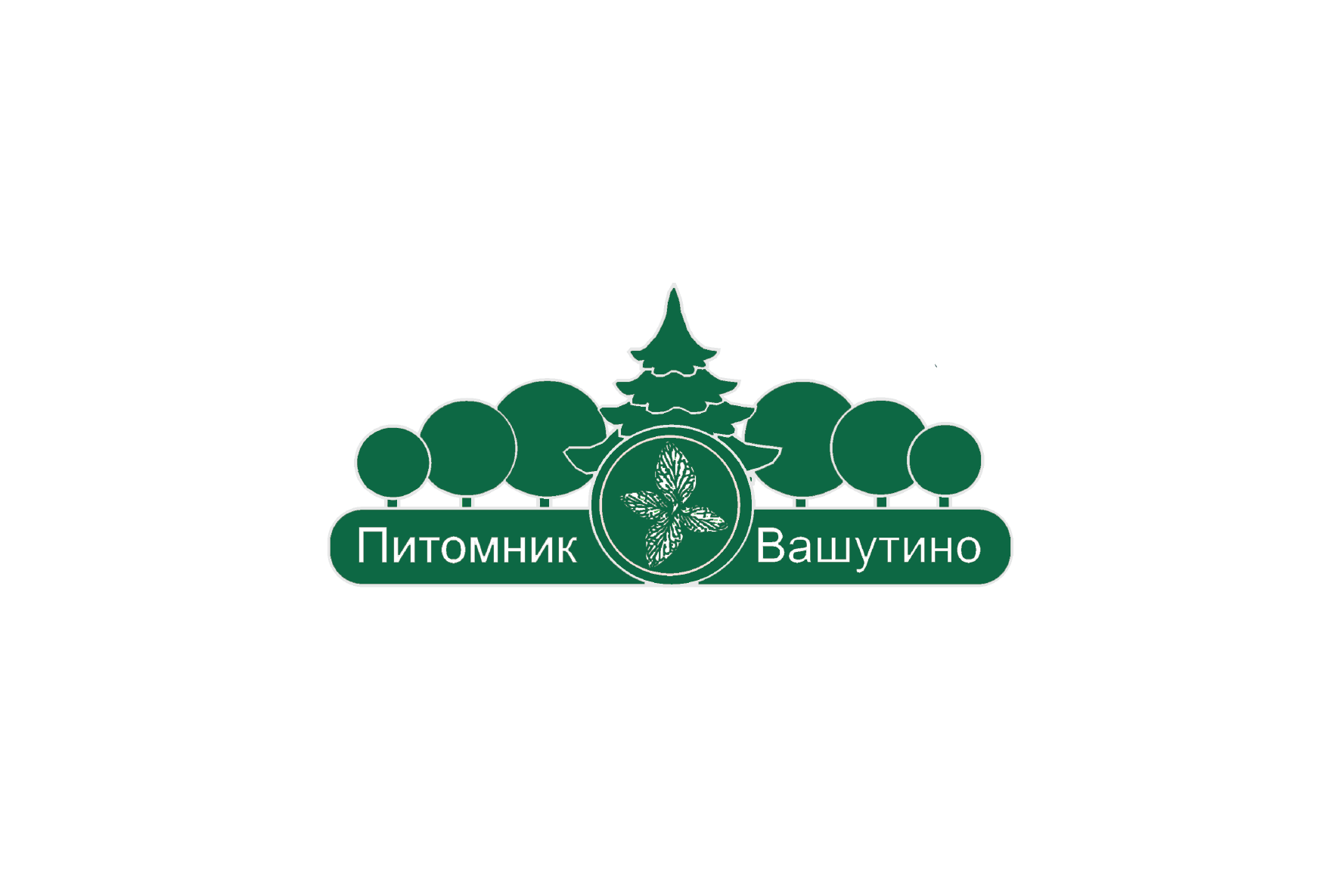 Вашутино
