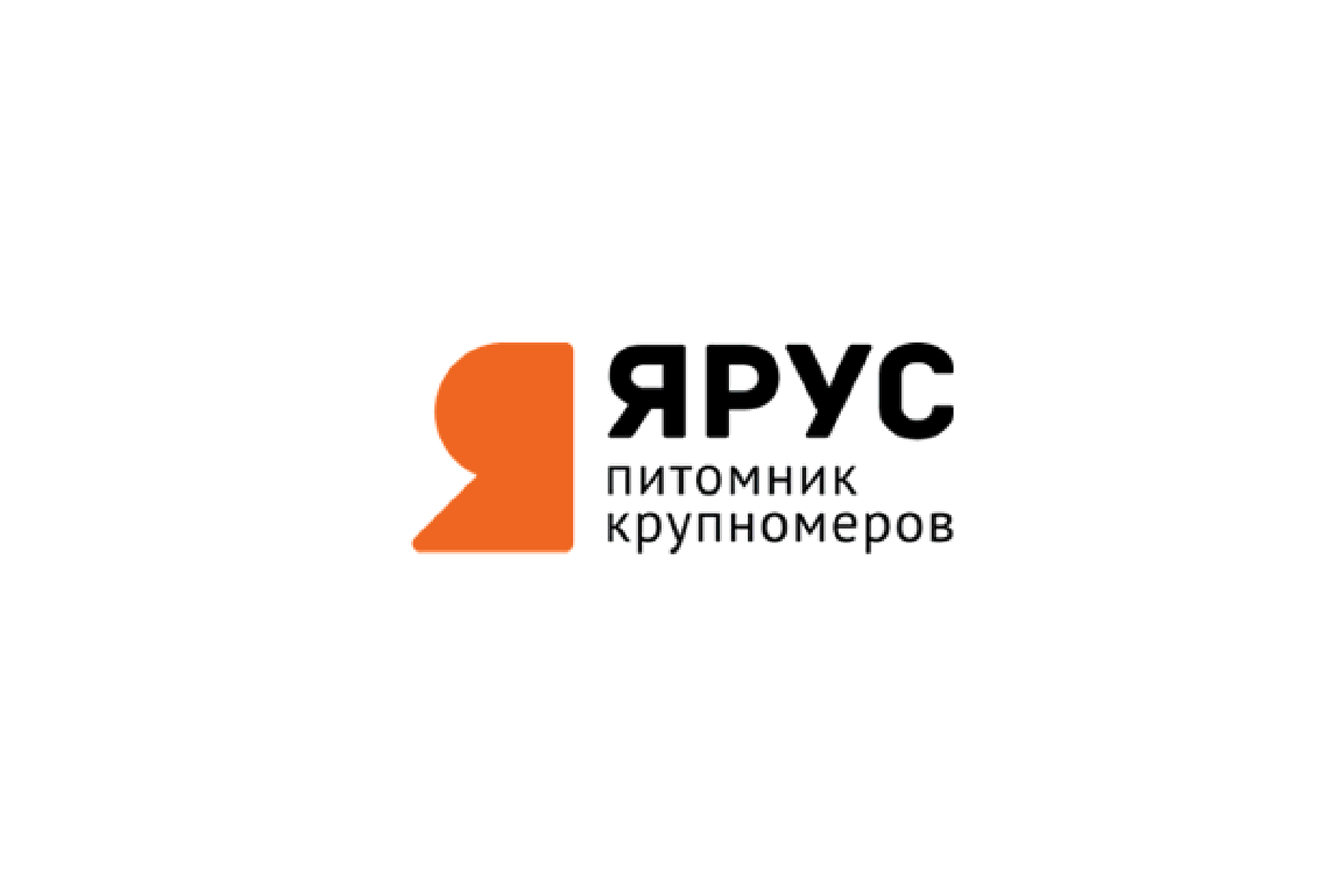 Ярус