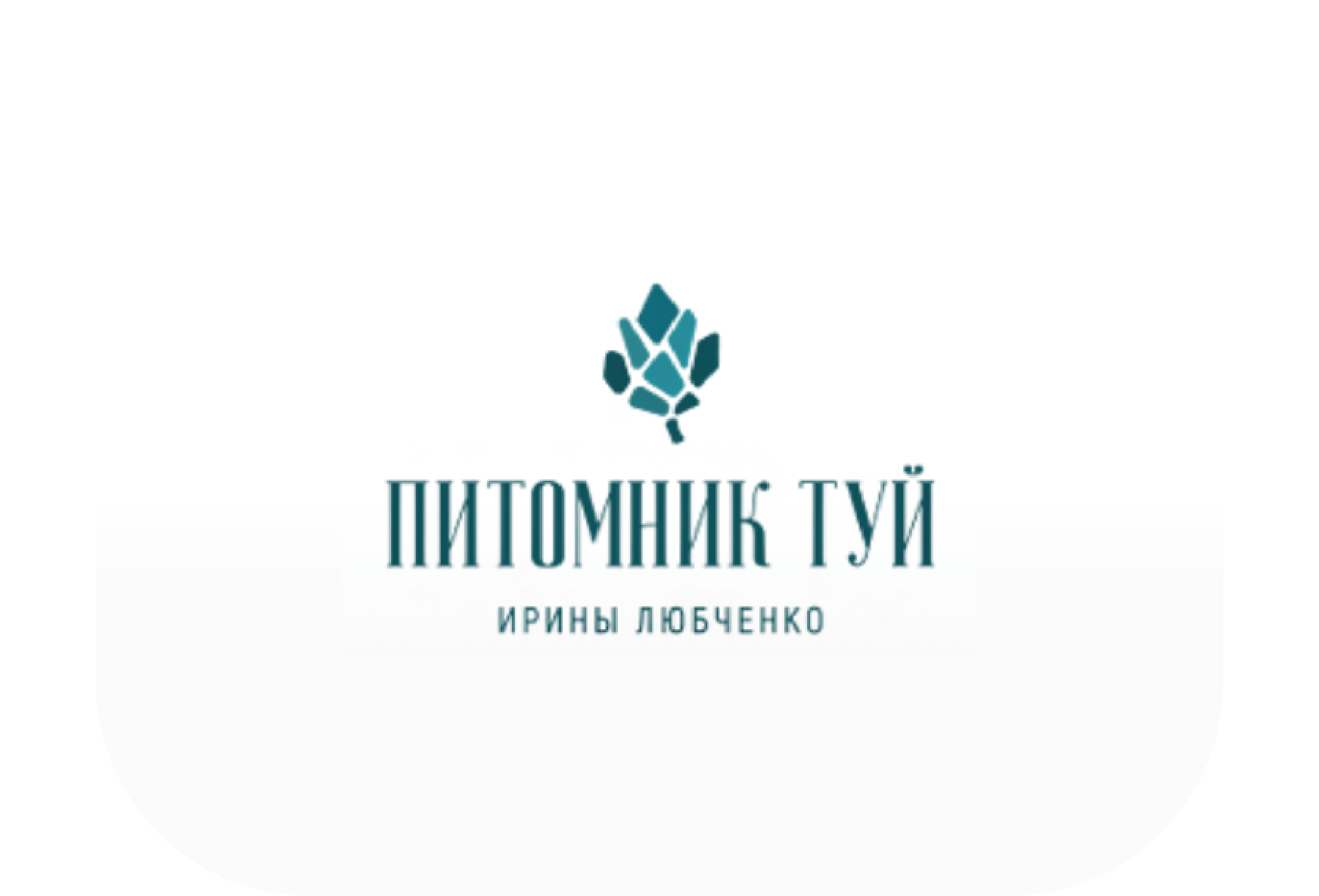Питомник туй Ирины Любченко