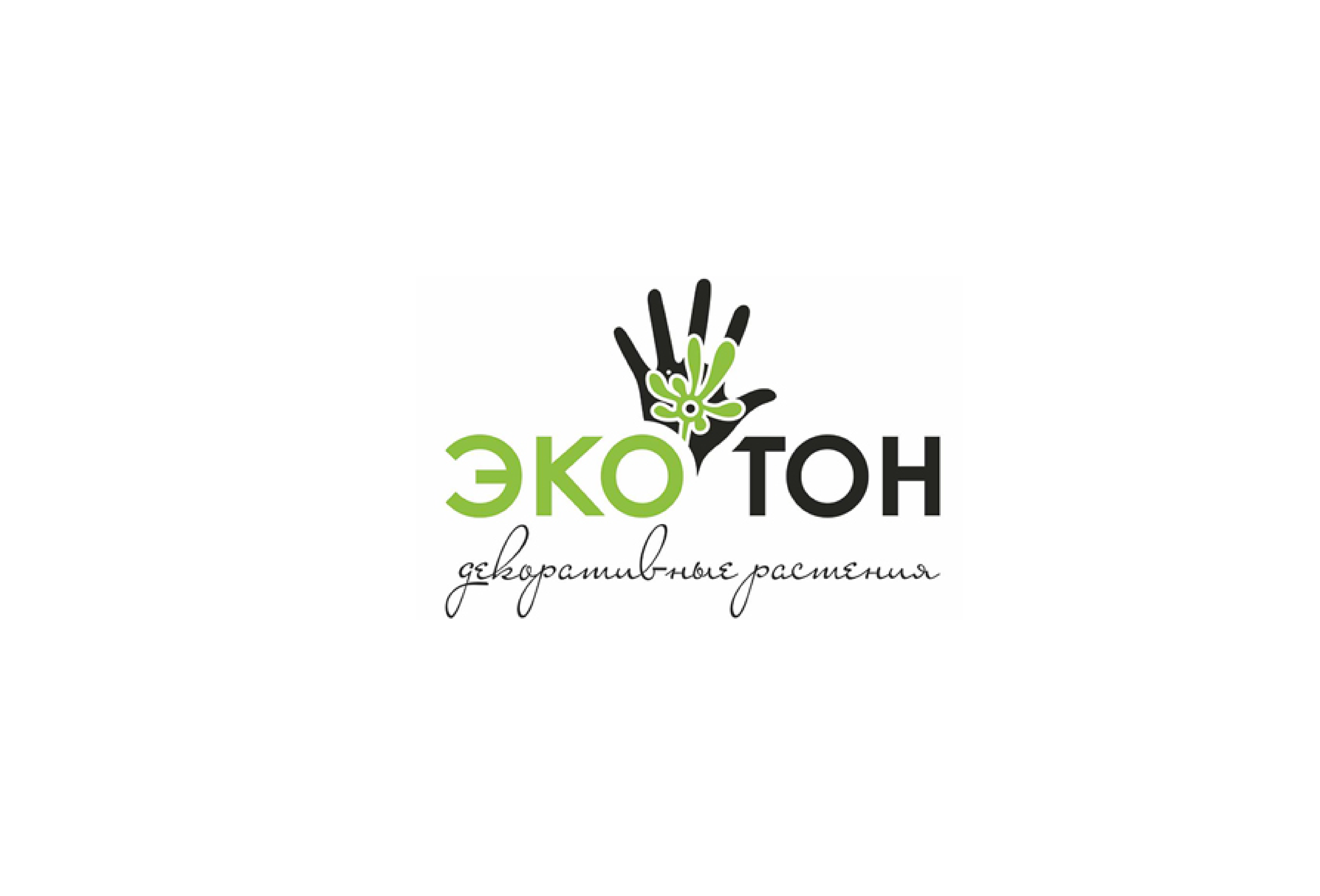 Экотон